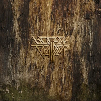 Afbeelding van Blitzen Trapper Furr (2 LPs)