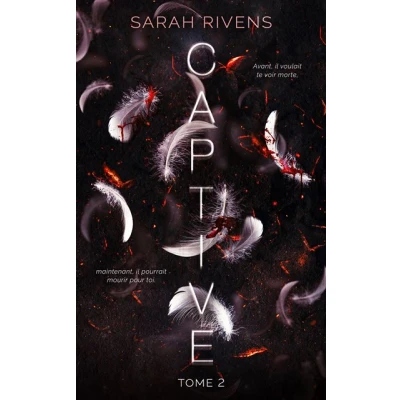Image de Captive tome 2