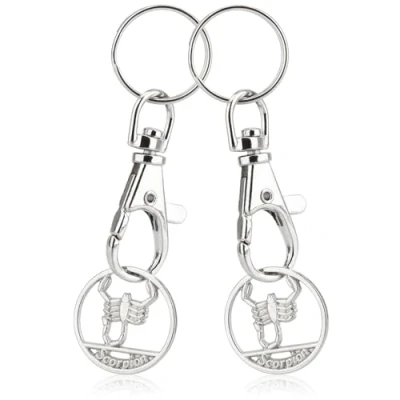 Afbeelding van Robin Goods® 2 x sleutelhanger sterrenbeeld Schorpioen winkelwagenchip, hanger voor mand met afneembare boodschappenchip, karabijnhaak en (2x schorpioenen)