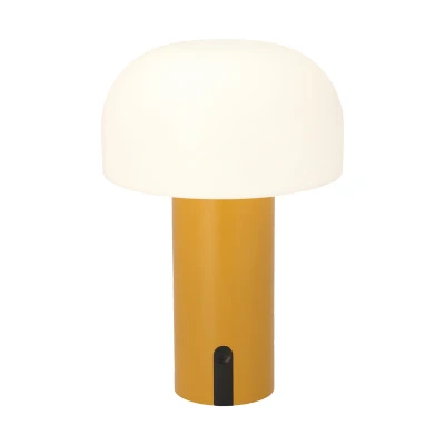 Afbeelding van Villa Collection Styles Draadloze Led Lamp Amber
