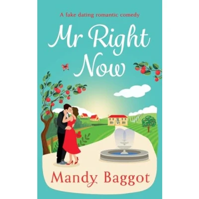 Afbeelding van Mr Right Now
