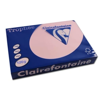Afbeelding van Clairefontaine Trophée Pastel, gekleurd papier, A4, 120 g, 250 vel, roze papier