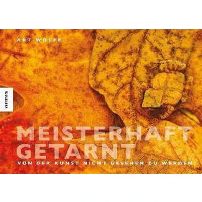 Afbeelding van Meisterhaft getarnt