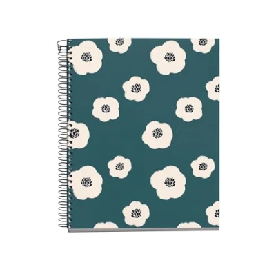 Afbeelding van Miquelrius Notitieboek A5 (148 x 210 mm), 100 vellen geruit 70 g/m², hardkartonnen omslag, 4 gekleurde strepen, spiraalbinding, 2 gaten, notitieboek, mooi schrijfwaren, groen