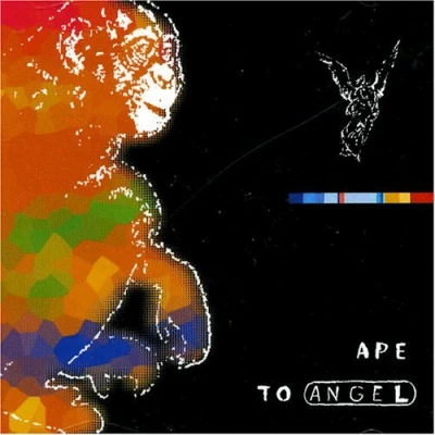 Afbeelding van Ape to Angel