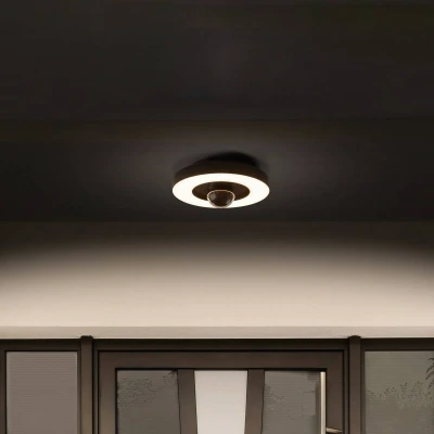 Afbeelding van LEDVANCE SMART+ buitenwand &amp; plafondlamp + camera, warm wit LED licht (3000K), hoogwaardige polycarbonaat behuizing in donkergrijs, geïntegreerde luidspreker, geheugenkaart, slimme WIFI technologie