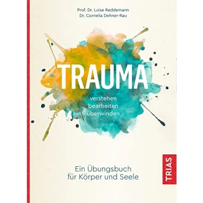 Afbeelding van Trauma verstehen, bearbeiten, überwinden