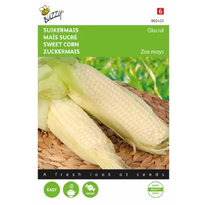 Afbeelding van Seeds suikermais glacial 20 zaden Buzzy