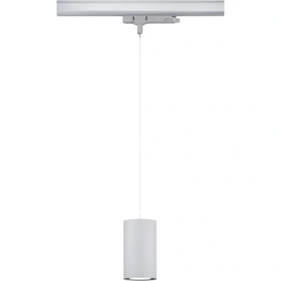 Afbeelding van Paulmann Kratos 96609 LED hanglamp 18.5 W Zilver