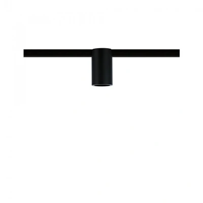 Afbeelding van Paulmann Socket Plafondlamp URail E27 Zwart