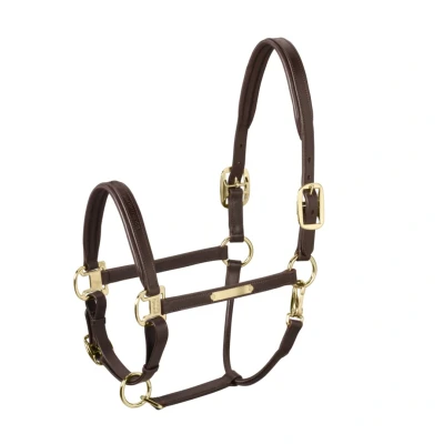 Image de Eskadron Licol Elegance Leder Marron foncé Poney