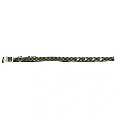 Afbeelding van FERPLAST Daytona Deluxe Halsband / Hondenhalsband Zachte voering Groen Reflecterend XS S Breedte: 1,5 cm Nekomtrek: 27 35 (GELIEVE ALVORENS BESTELLEN OPMETEN)