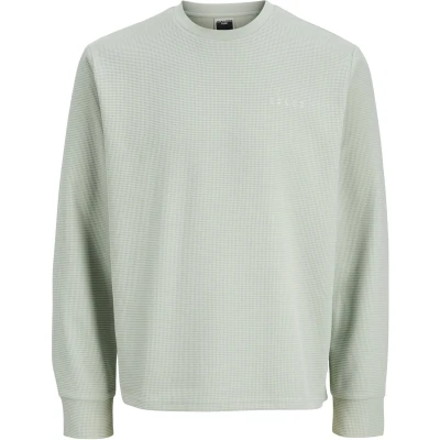 Afbeelding van Jack &amp; Jones Trui Jcopacer Structure Crew Neck Smu 12279683 Aqua Gray Mannen Maat L