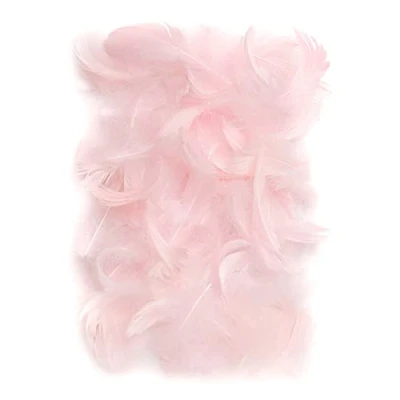 Afbeelding van Netuno Decoratieve veren, 10 g, pluche vogelveren, om te knutselen, Pasen, decoratie, Kerstmis, rozen, 150 stuks