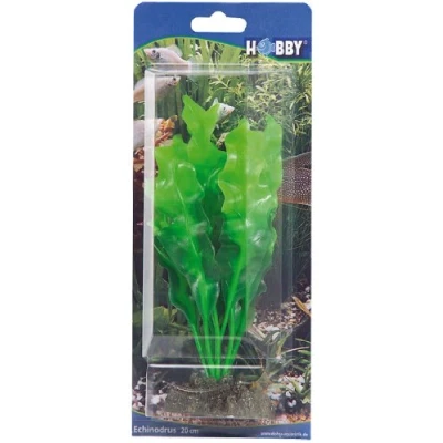 Afbeelding van Hobby Plant Echinodrus 20CM
