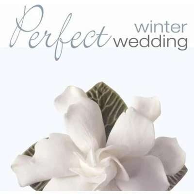 Afbeelding van Various Artists Perfect Winter Wedding (CD)