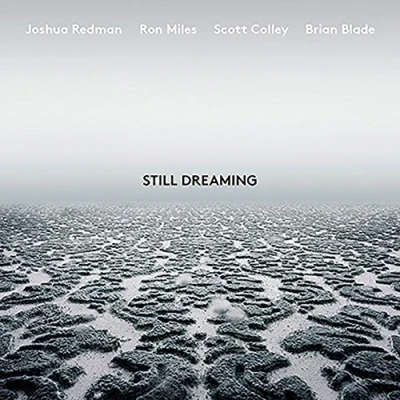 Afbeelding van Still Dreaming (Feat. Ron Miles &amp; Scott Colley Brian Blade)