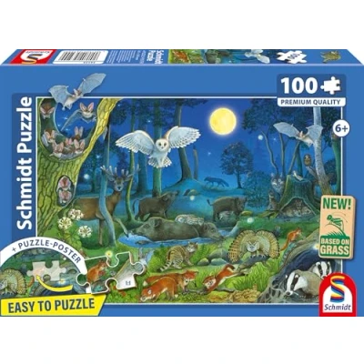 Afbeelding van Schmidt Spiele 56529 puzzel met nachtdieren in het bos, 100 stukjes, graskarton, meerkleurig