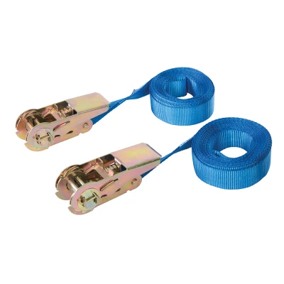 Afbeelding van Silverline Eindeloze ratel spanband, 2 pak 5m x 25 mm, vermogen 250 kg capaciteit 500
