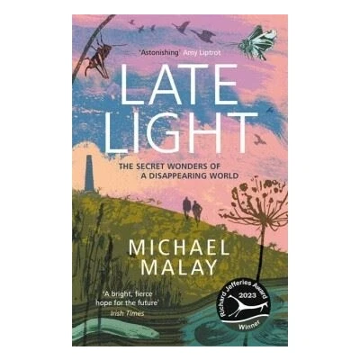 Image de Late Light