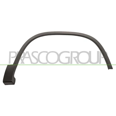 Afbeelding van PRASCO VG8091581 Sier / beschermingspaneel, spatbord Rechts voor VOLKSWAGEN: Tiguan I