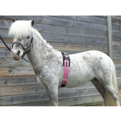 Afbeelding van HB Longeersingel Little Sizes Roze Minishetland