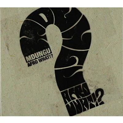 Afbeelding van Mdungu Afro What!? (CD)