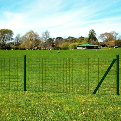 Afbeelding van Eurohek 10x0,8 m staal groen