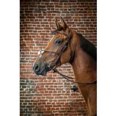 Afbeelding van Dy&#039;on Hoofdstel D Collection By Mexicaans Fig 8 Bruin