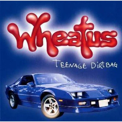 Afbeelding van Wheatus teenage dirtbag cd single