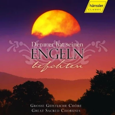 Afbeelding van Various Artists Denn Er Hat Seinen Engeln Befohlen (2 CD)