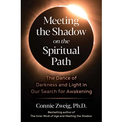 Afbeelding van Meeting the Shadow on Spiritual Path