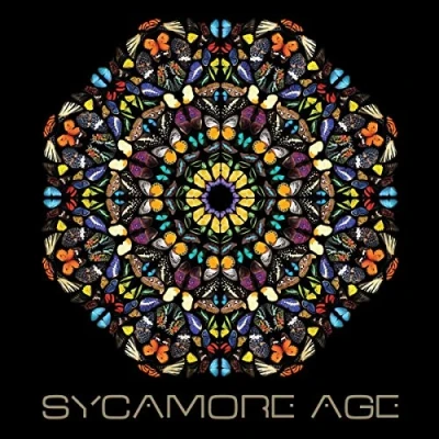 Afbeelding van Sycamore Age (LP)