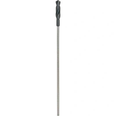 Afbeelding van Bosch Accessories 2608597175 Bekistingsboor 24 mm Gezamenlijke lengte 600 Cilinderschacht 1 stuk(s)