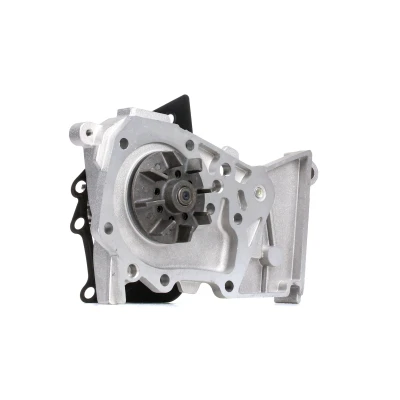 Afbeelding van DOLZ R236 Waterpomp RENAULT: GRAND SCENIC 3, CLIO Kangoo I Express, DACIA: Duster Off Road, Dokker Lodgy