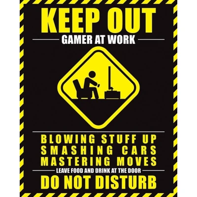 Afbeelding van GAMER AT WORK