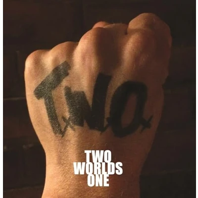 Afbeelding van Two Worlds One (LP)