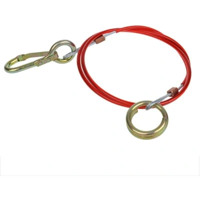 Afbeelding van Pro Plus Breekkabel met Ring Lengte 1 meter blister