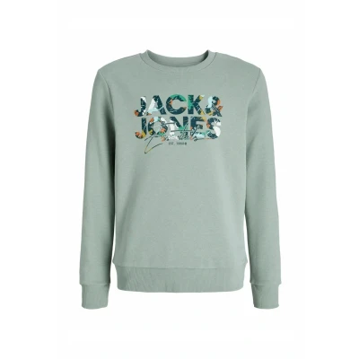 Afbeelding van JACK&amp;JONES JJGEPLAS SWEAT CREW NECK JNR Jongens Sweaters