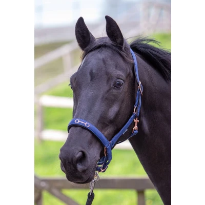 Afbeelding van Harry&#039;s Horse Halster Bit Navy