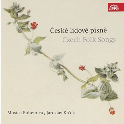 Afbeelding van Musica Bohemica Czech Folk Songs (2 CD)