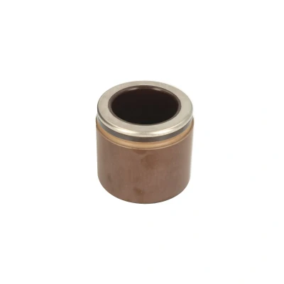 Afbeelding van AUTOFREN SEINSA D025593 Zuiger, remklauw 61 Vooras PBR