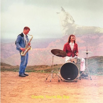 Afbeelding van Dana &amp; Alden Coyote, You Re My Star (LP)