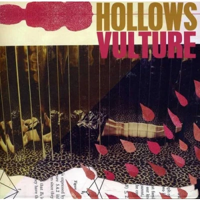 Afbeelding van Hollows Vulture (CD)