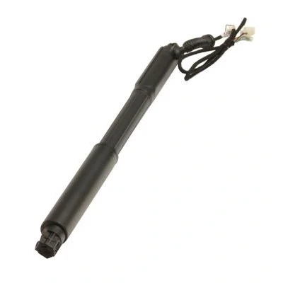 Afbeelding van Gasveer, legbodem (Koffer /Laadruimte) MAXGEAR 12 2544