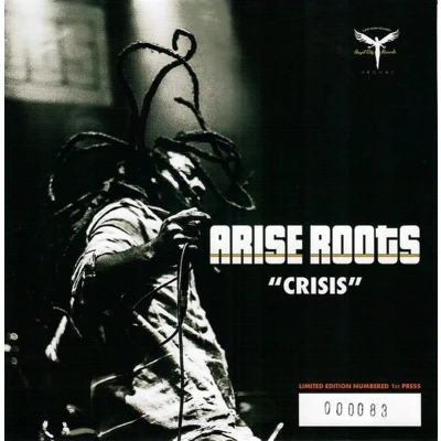 Afbeelding van Arise Roots Crisis (7&quot; Vinyl Single)