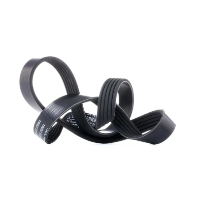 Afbeelding van Poly V riem DAYCO 5PK810