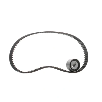 Afbeelding van Skf Distributieriem kit VKMA 94102