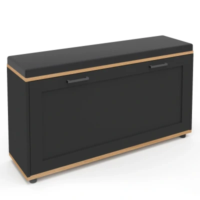 Afbeelding van VITO entreebank met kussen en schoenenopberger, zwart 100 cm