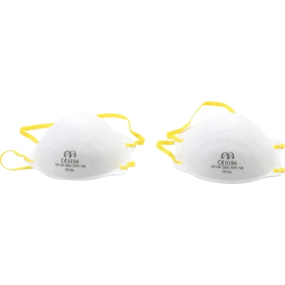 Afbeelding van BGS Stofmasker 2 delig
